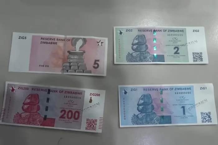 Zimbabwe's gold-backed currency, the ZiG, depreciates by 43 percent in Under 5 Months 