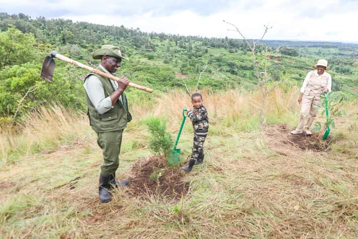 Government to Pay Youths to Protect Trees