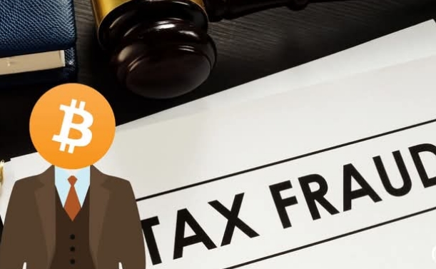 Bitcoin investor jailed for Tax Evasion