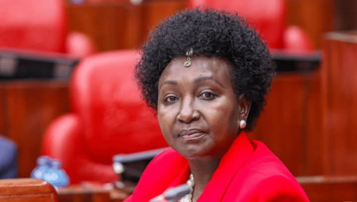 Only Ruto Can Transform Kenya - Gladys Shollei