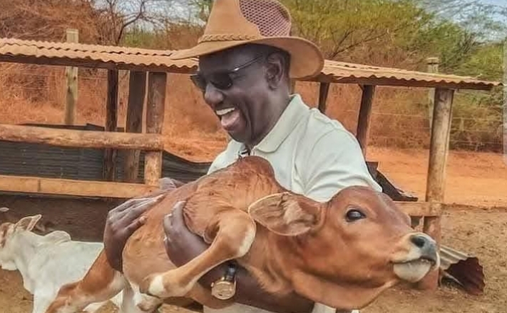 Govt to Track Kenyans Livestock using GPS