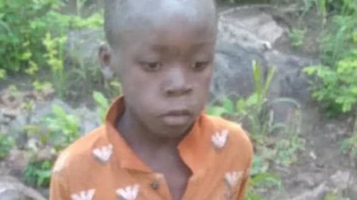 Boy, 8, survives Five Days in lion-inhabited Gamepark