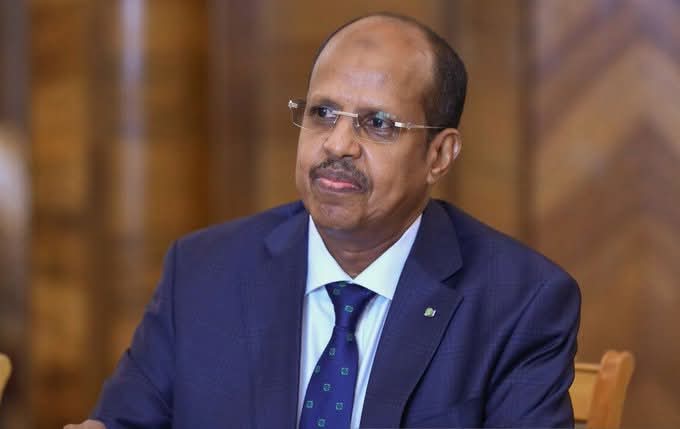 Djibouti's Mahmoud Ali Youssouf vows to address African youth Plight if elected AUC Chair