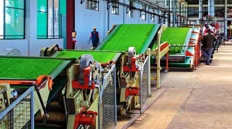 KERICHO : Tea Factory Advertises Managerial Positions