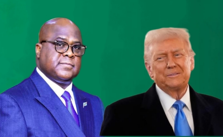 United States in talks with DR. Congo to Get Minerals and Offer Security in Return