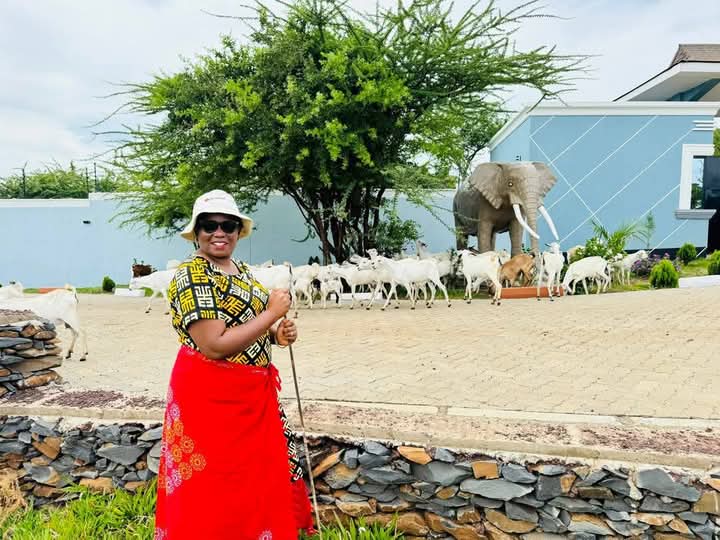 Former Meru Governor Kawira Mwangaza Herds' goats