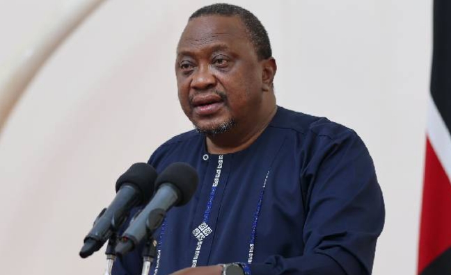 Kenyan Youth Don't Need Mobilization to Take a Stand - MP Defends Uhuru