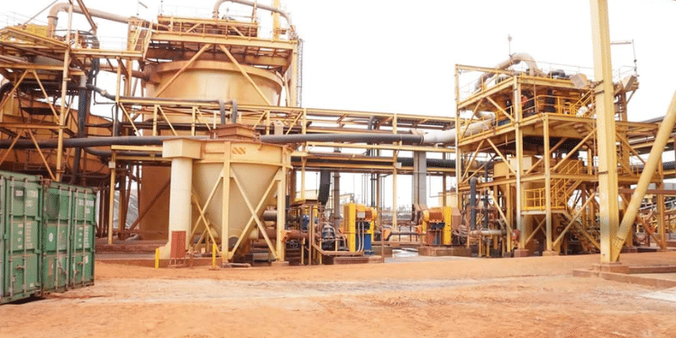 RareX Secures $50M Funding as it Eyes Critical Minerals in Kwale