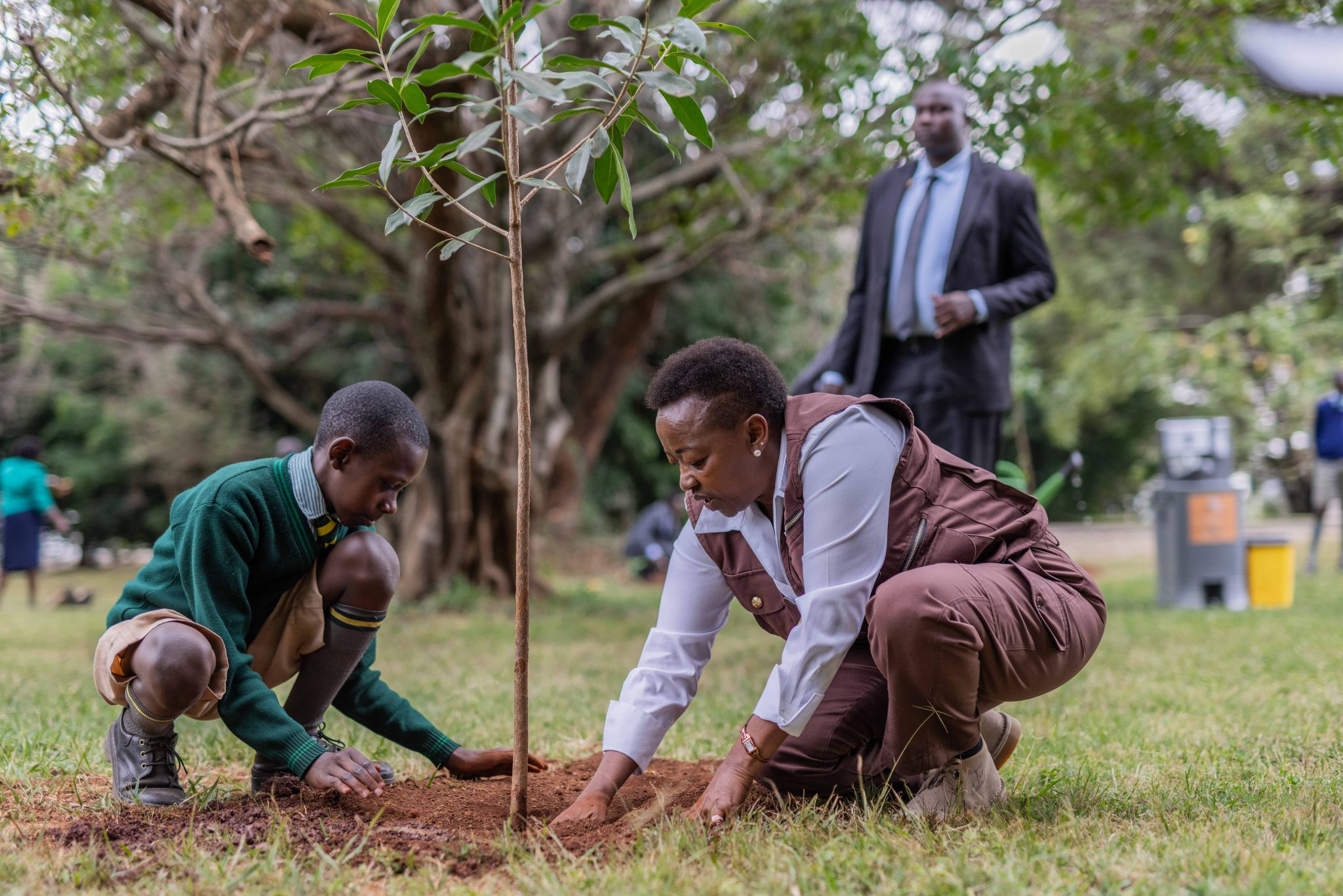Students ordered to attend school on Mazingira Day for tree planting