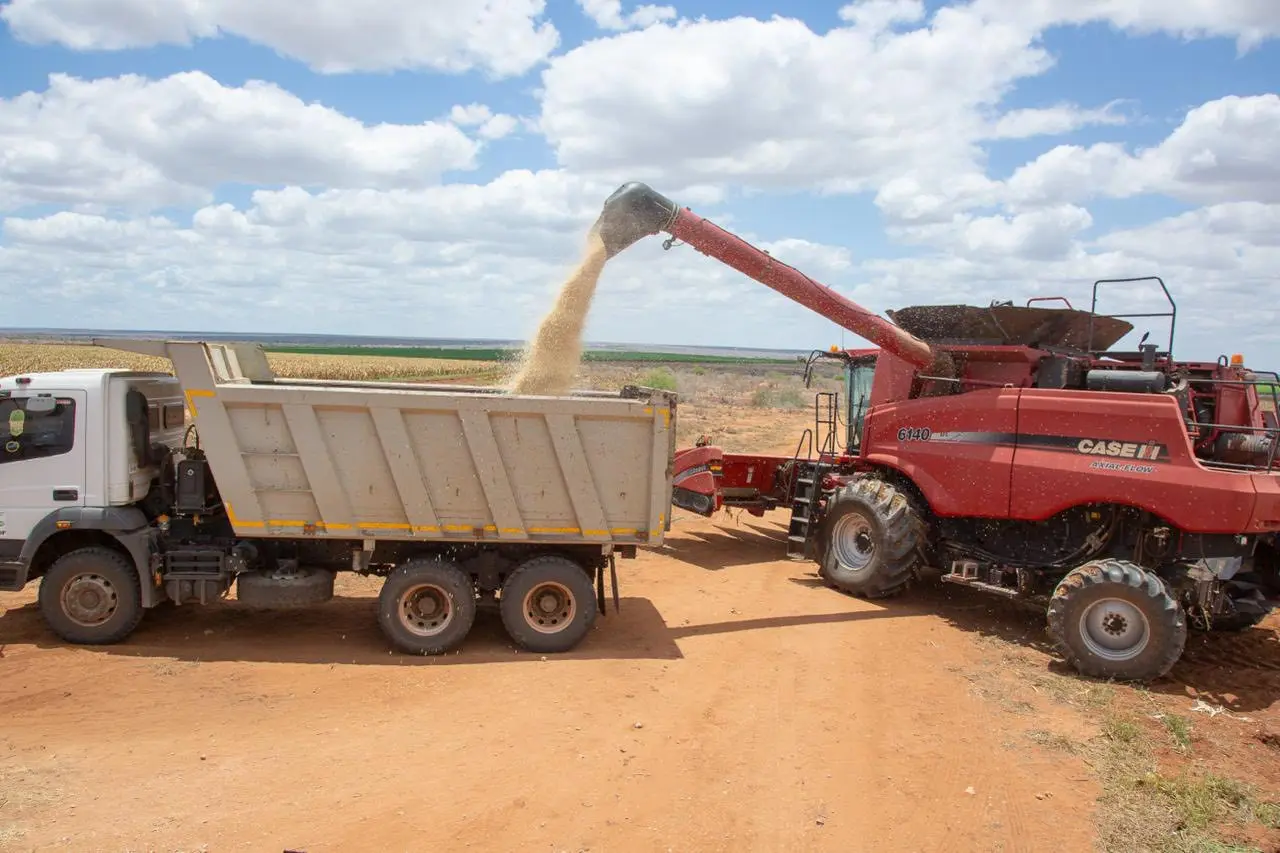 Landmark Achievement as Kenya’s Galana Kulalu Project Delivers First Maize Harvest