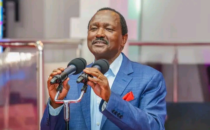 Wiper Leader Kalonzo Musyoka Slams IEBC