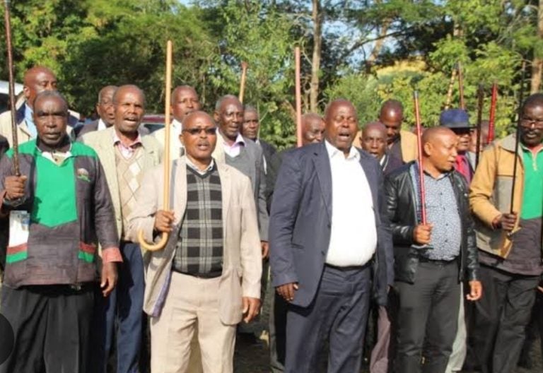 Njuri Ncheke Elders Urge Mt Kenya East to Back Ruto, Kindiki