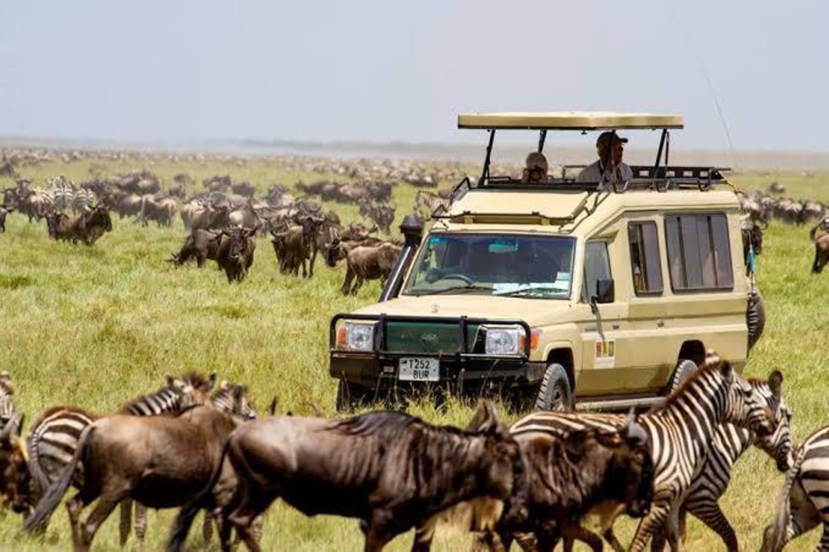 Tanzania Tourism Earnings Hit Record USD 4.4Bn