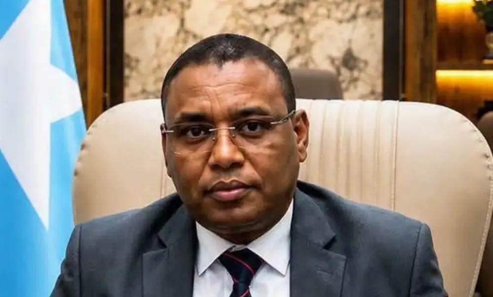 Somalia's Deputy PM Gives Up Kenyan Citizenship as Passport Dispute Deepens